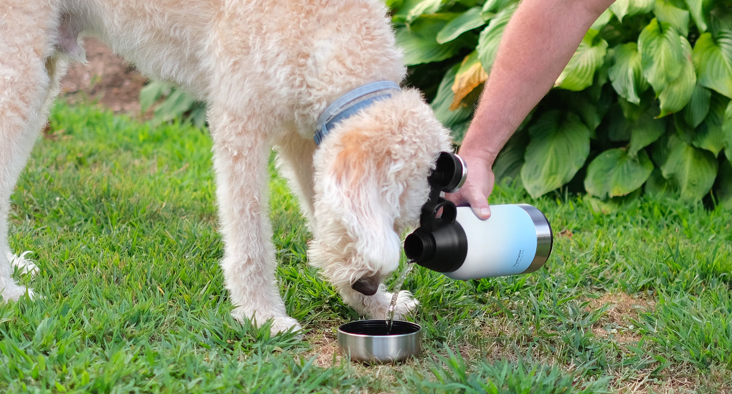 32 oz ˚hydrator by KOALA PAL - Ombre Blue