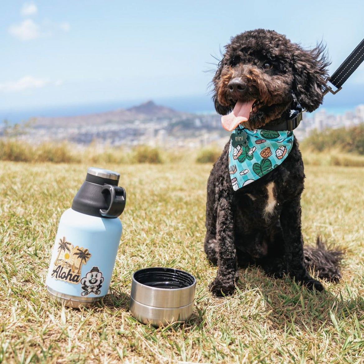 32 oz ˚hydrator by KOALA PAL - Best Boy Blue